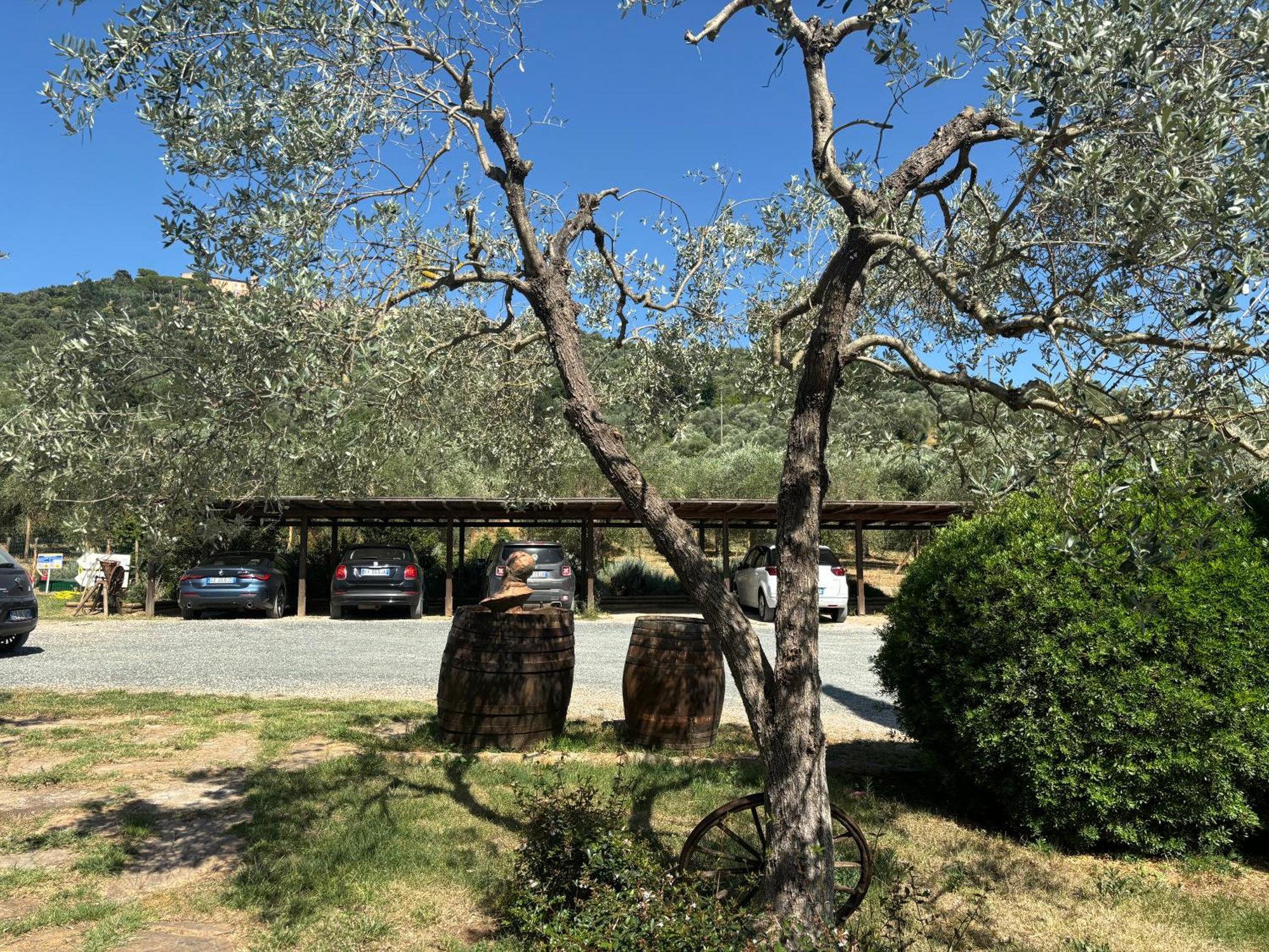 Nonna Nara Bed & Breakfast Grosseto Exterior foto