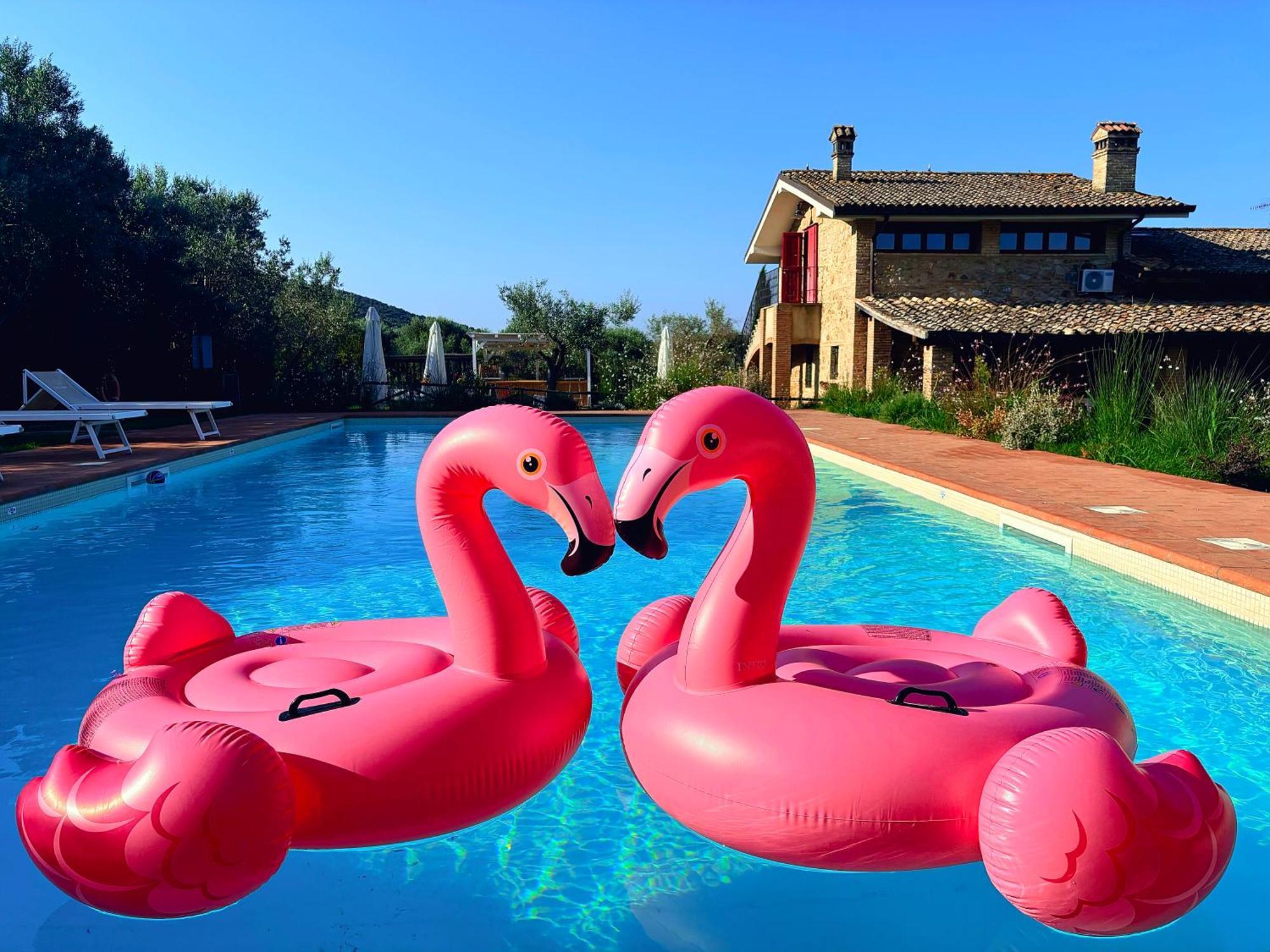 Nonna Nara Bed & Breakfast Grosseto Exterior foto